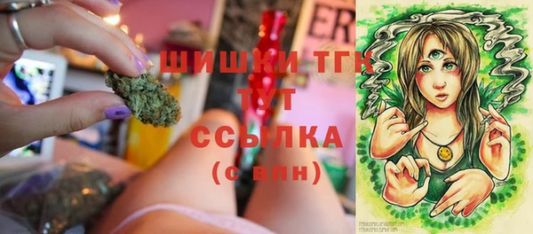 гашик Алзамай