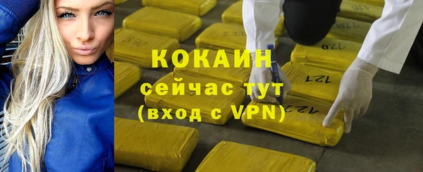 СК Протвино